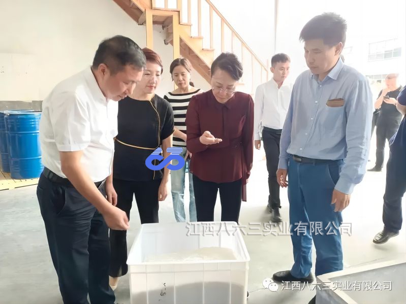 市委常委、統戰部部長(cháng)羅璇一行蒞臨八六三公司考察指導
