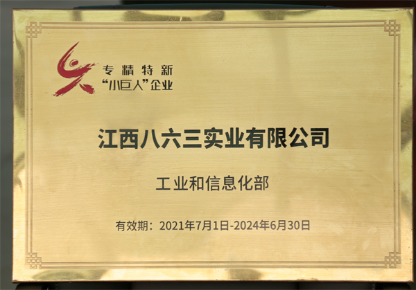 專(zhuān)精特新小巨人